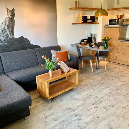 Luchsbutze Apartment Sankt Andreasberg Ngoại thất bức ảnh