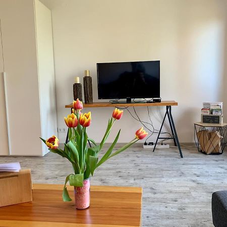Luchsbutze Apartment Sankt Andreasberg Ngoại thất bức ảnh