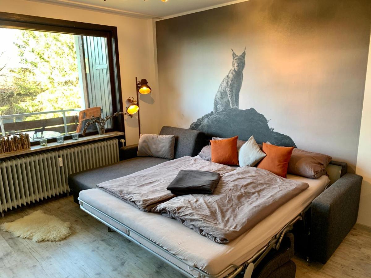 Luchsbutze Apartment Sankt Andreasberg Ngoại thất bức ảnh