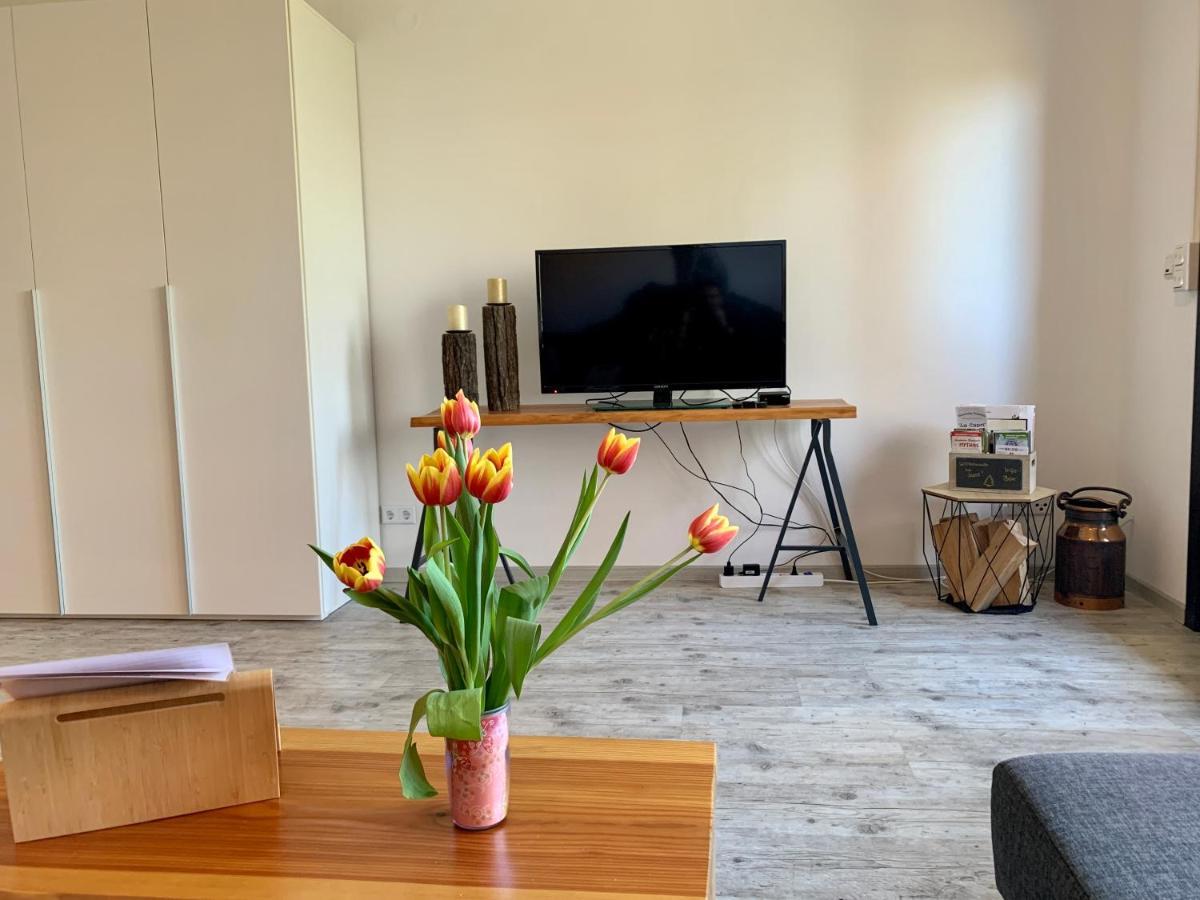 Luchsbutze Apartment Sankt Andreasberg Ngoại thất bức ảnh